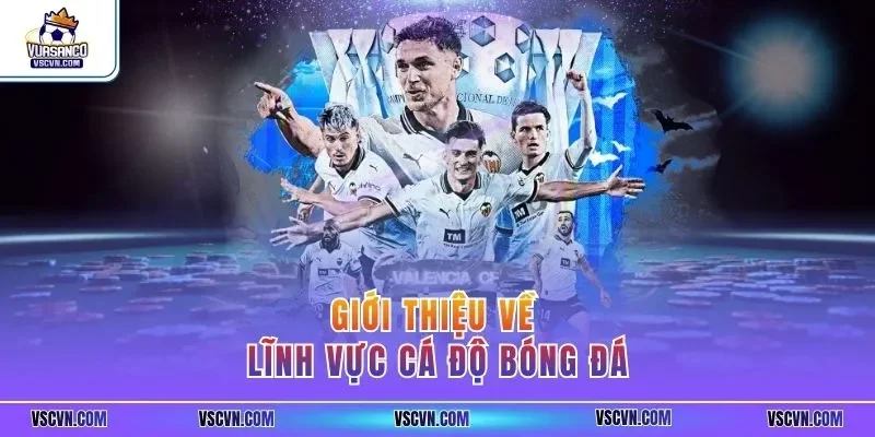 Giới thiệu về lĩnh vực cá độ bóng đá