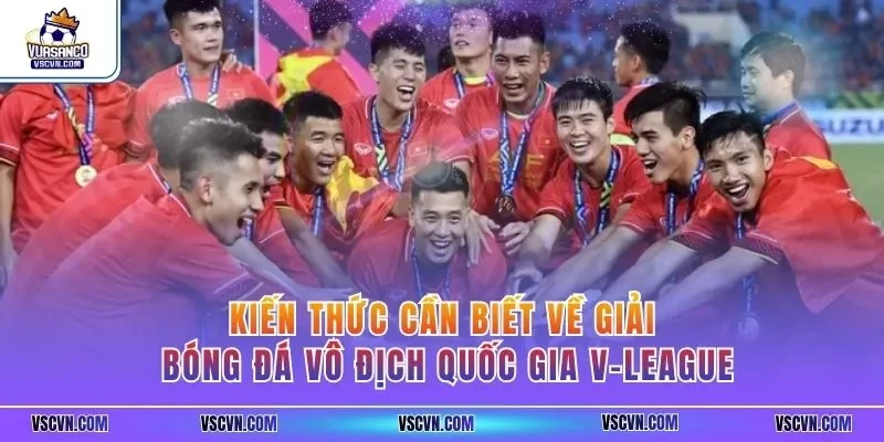 Kiến thức cần biết về giải bóng đá vô địch quốc gia V-League