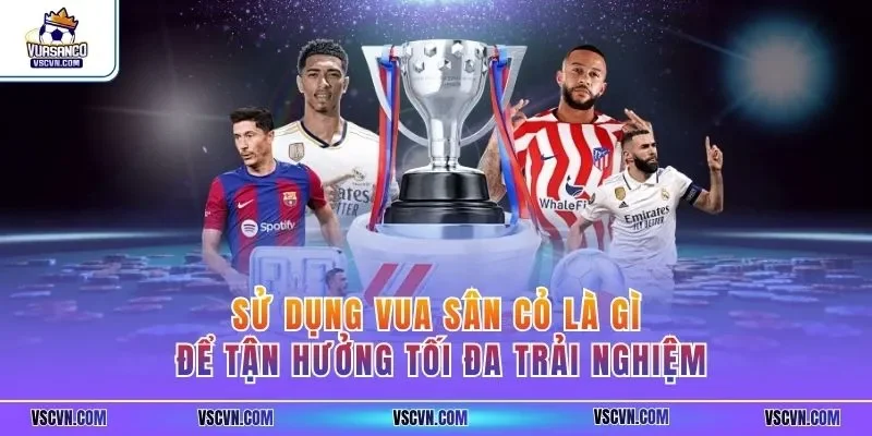 Sử dụng Vua Sân Cỏ là gì để tận hưởng tối đa trải nghiệm