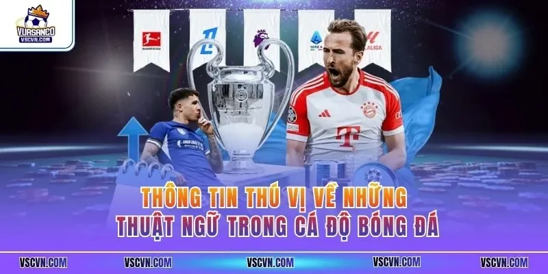 Thông tin thú vị về những thuật ngữ trong cá độ bóng đá