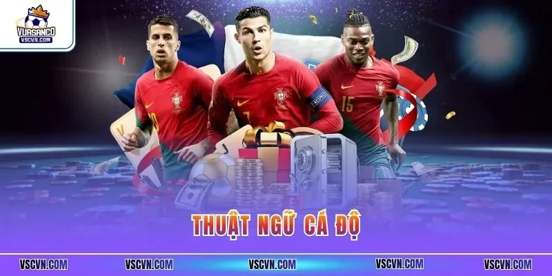 Thuật ngữ cá độ