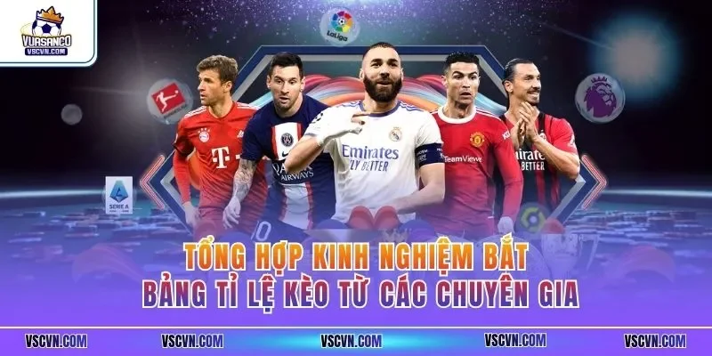 Tổng hợp kinh nghiệm bắt bảng tỷ lệ kèo từ các chuyên gia