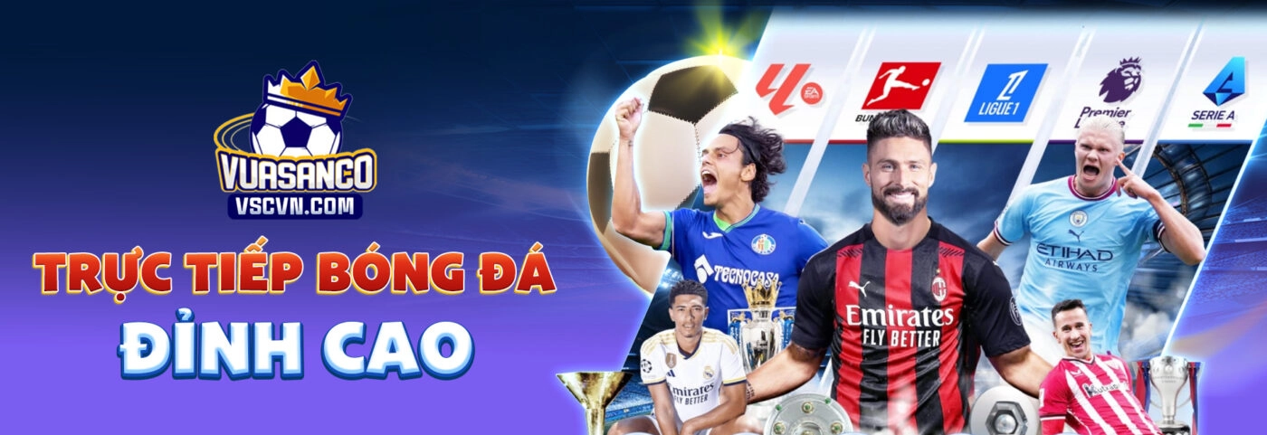 Banner VuaSanCo (VSC)